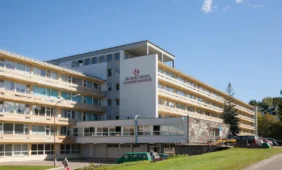 Vilniaus miesto klinikinė ligoninė